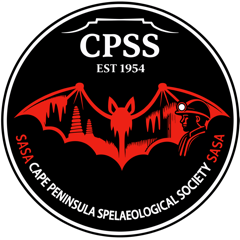 CPSS logo